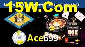Programa VIP Ace699