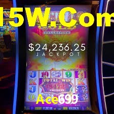 Experiência VIP Ace699